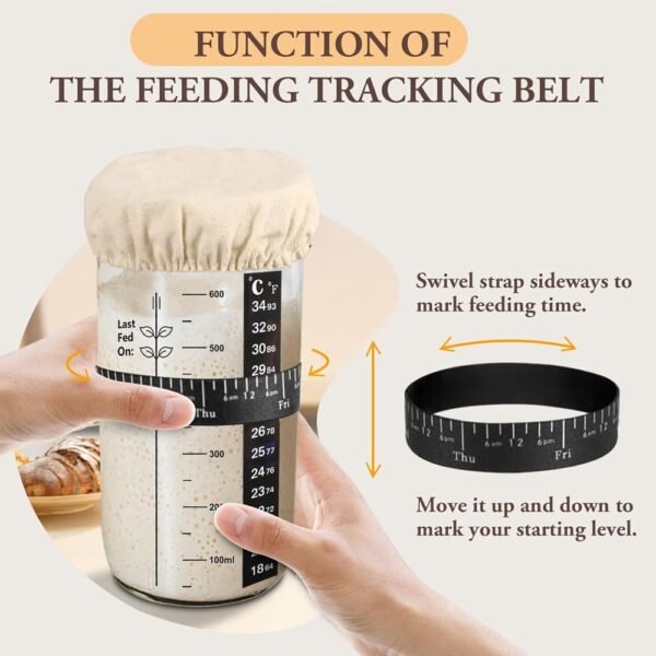 Sourdough Jar Tracking Belt